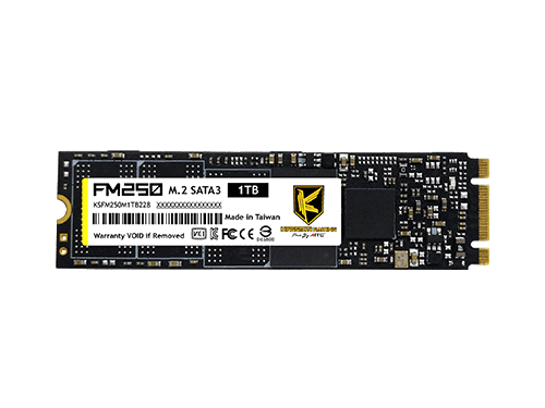 E4-FM2501TB