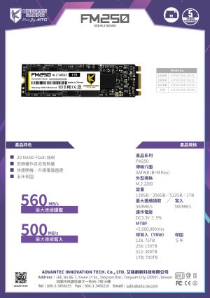 SSD(ZH)_FM250